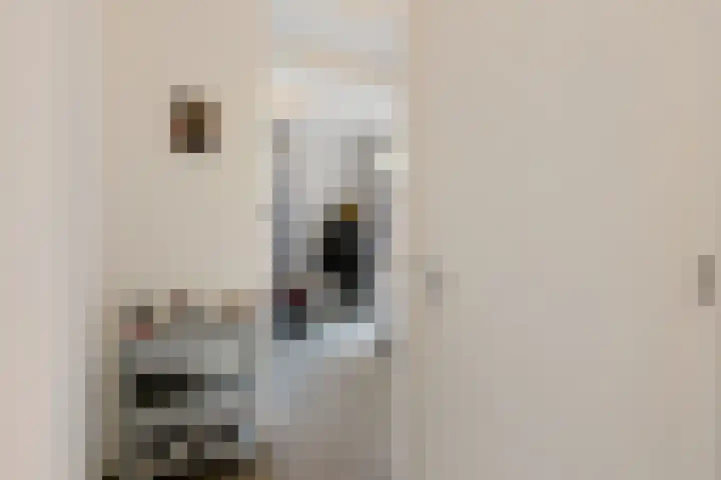 Hoogeindsestraat 11 b Rijkevoort thumbnail 10
