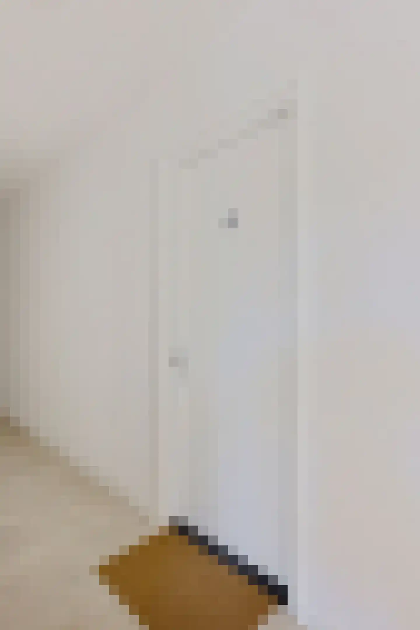 Hoogeindsestraat 11 b Rijkevoort thumbnail 6
