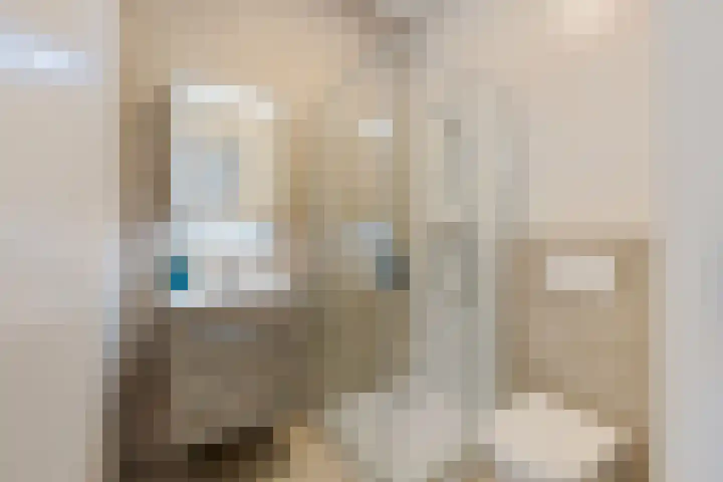 Hoogeindsestraat 11 b Rijkevoort thumbnail 7