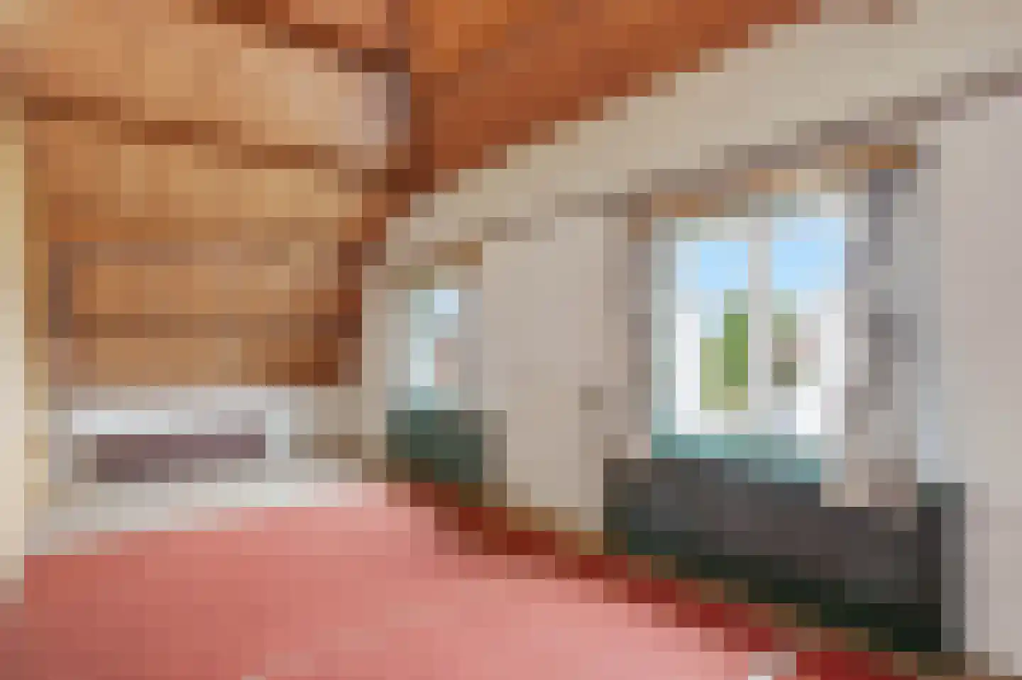 Hoogeindsestraat 8 Rijkevoort thumbnail 19