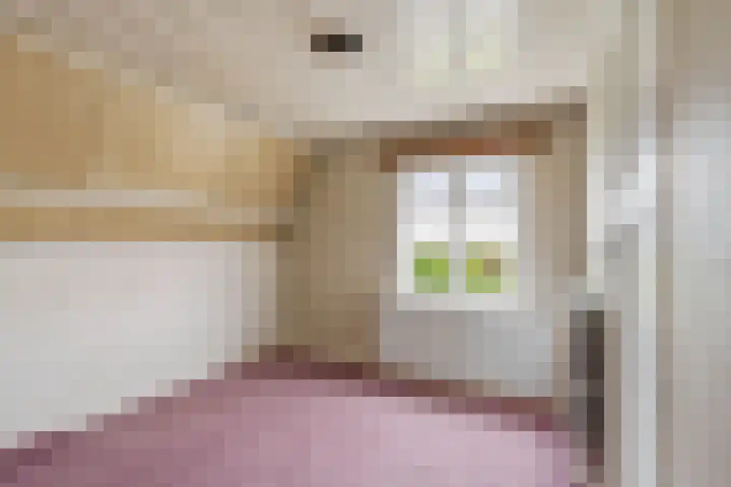 Hoogeindsestraat 8 Rijkevoort thumbnail 21