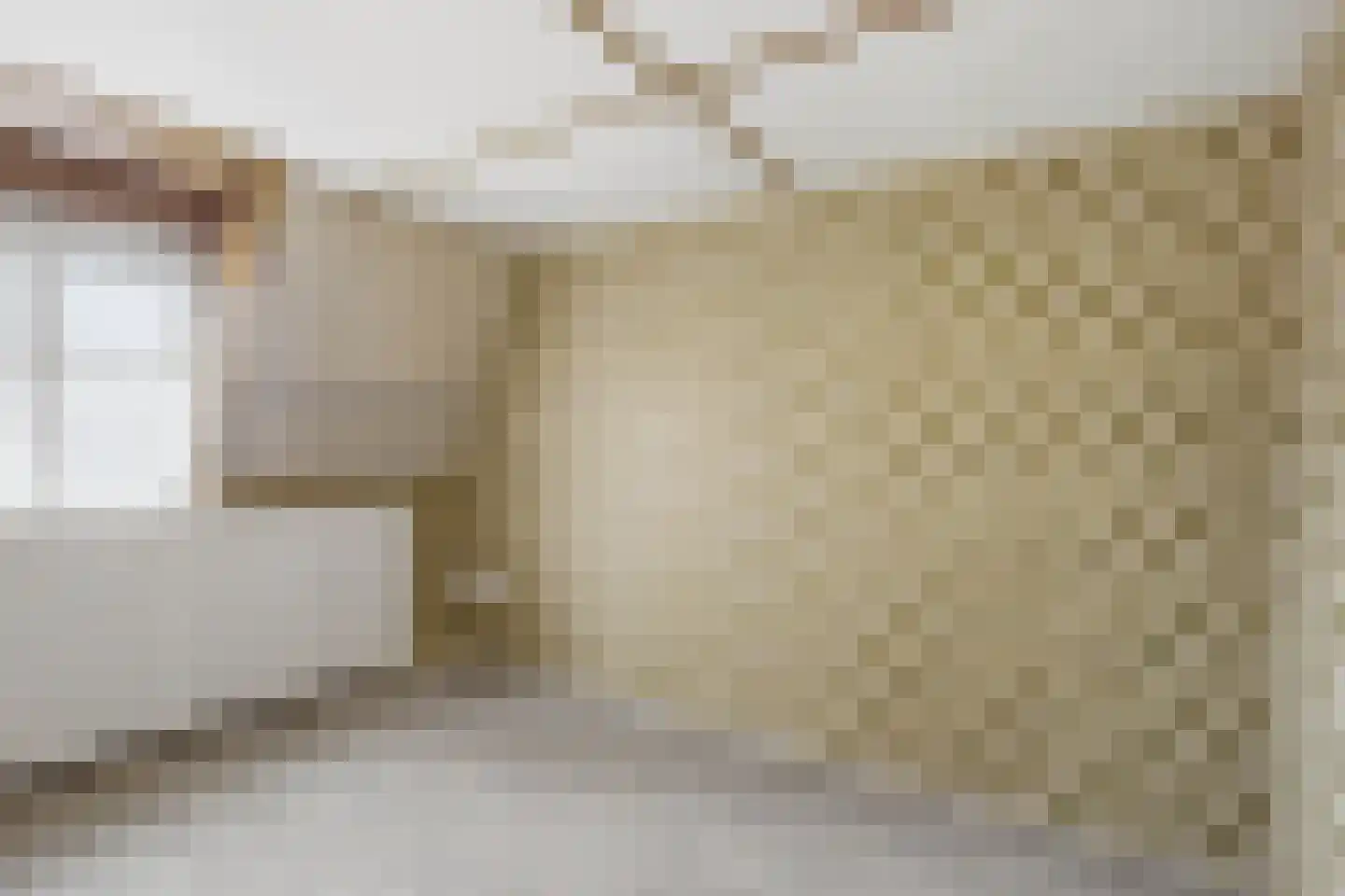 Hoogeindsestraat 8 Rijkevoort thumbnail 25