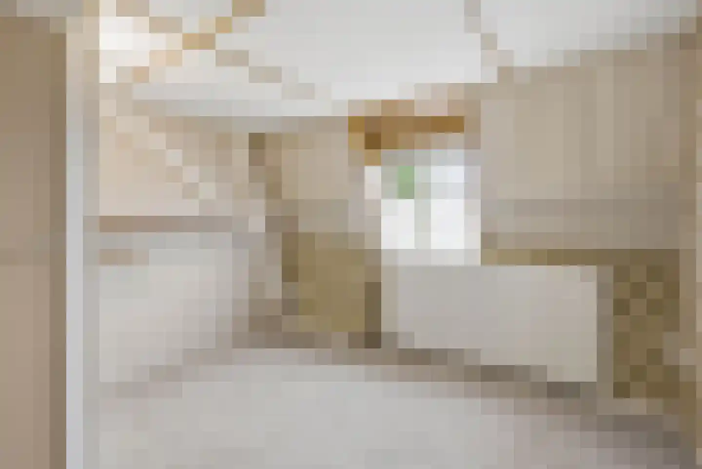 Hoogeindsestraat 8 Rijkevoort thumbnail 26
