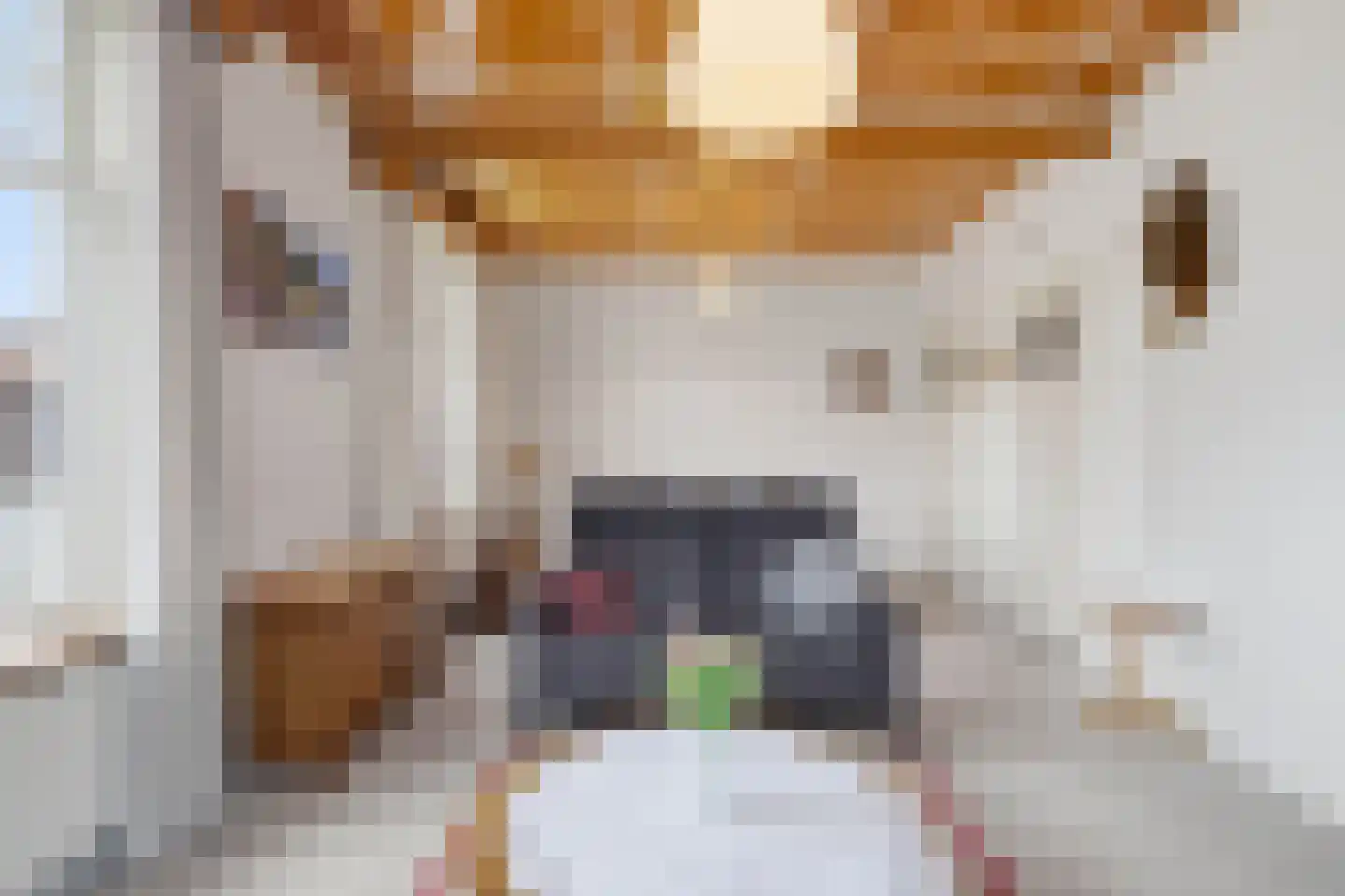Hoogeindsestraat 8 Rijkevoort thumbnail 4