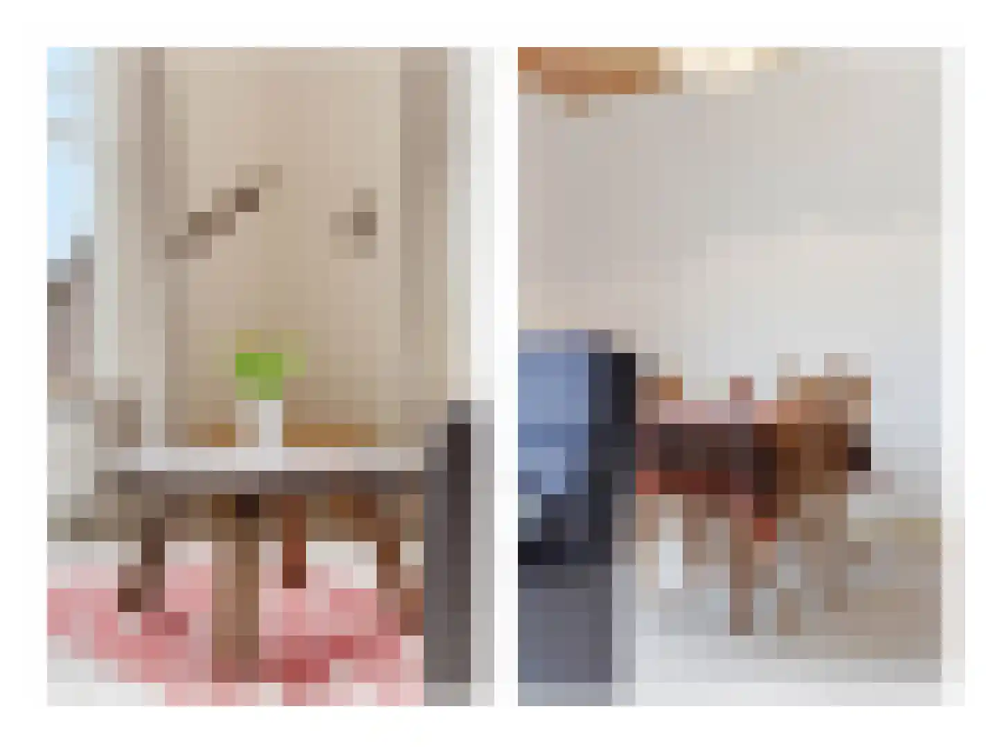 Hoogeindsestraat 8 Rijkevoort thumbnail 5