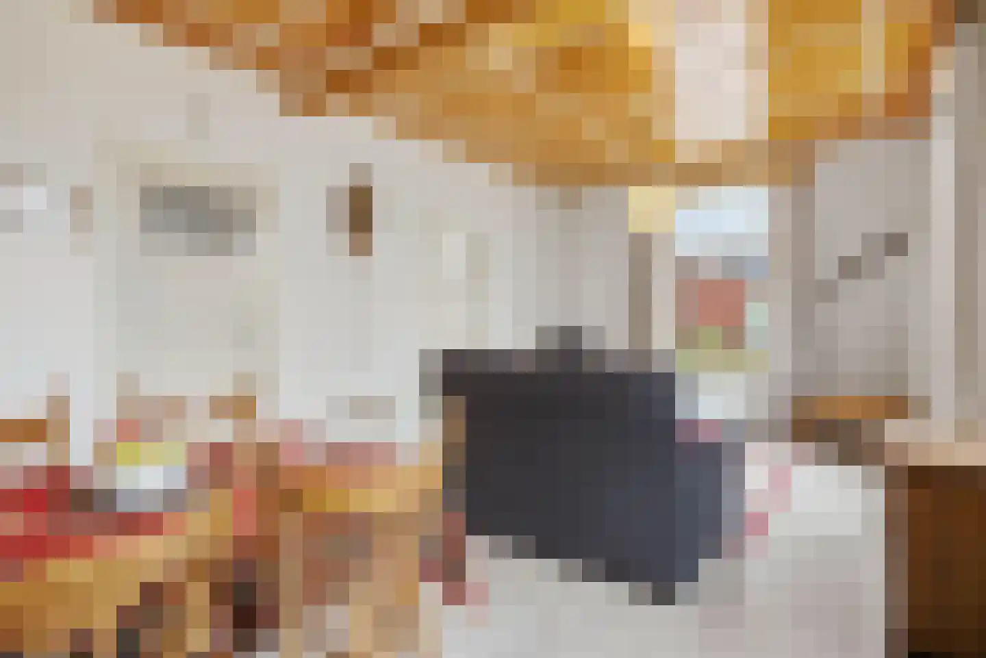 Hoogeindsestraat 8 Rijkevoort thumbnail 7