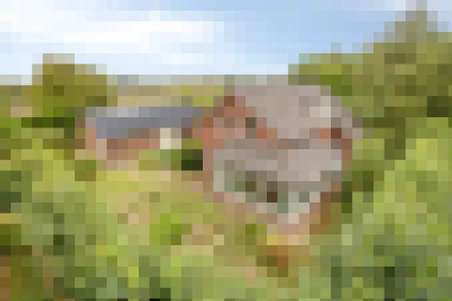 Hoogeindseweg 15 a Sambeek thumbnail 14