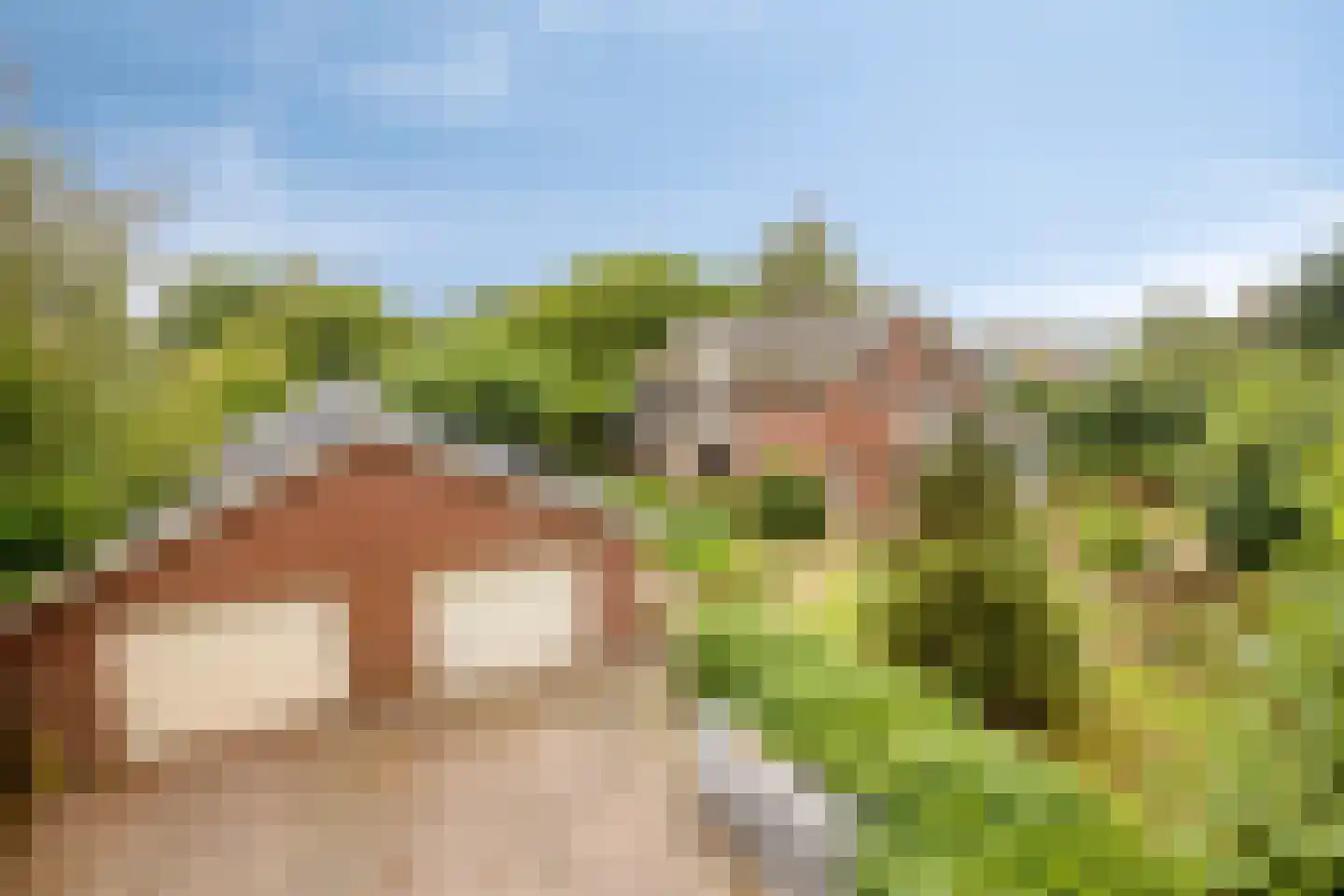 Hoogeindseweg 15 a Sambeek thumbnail 16