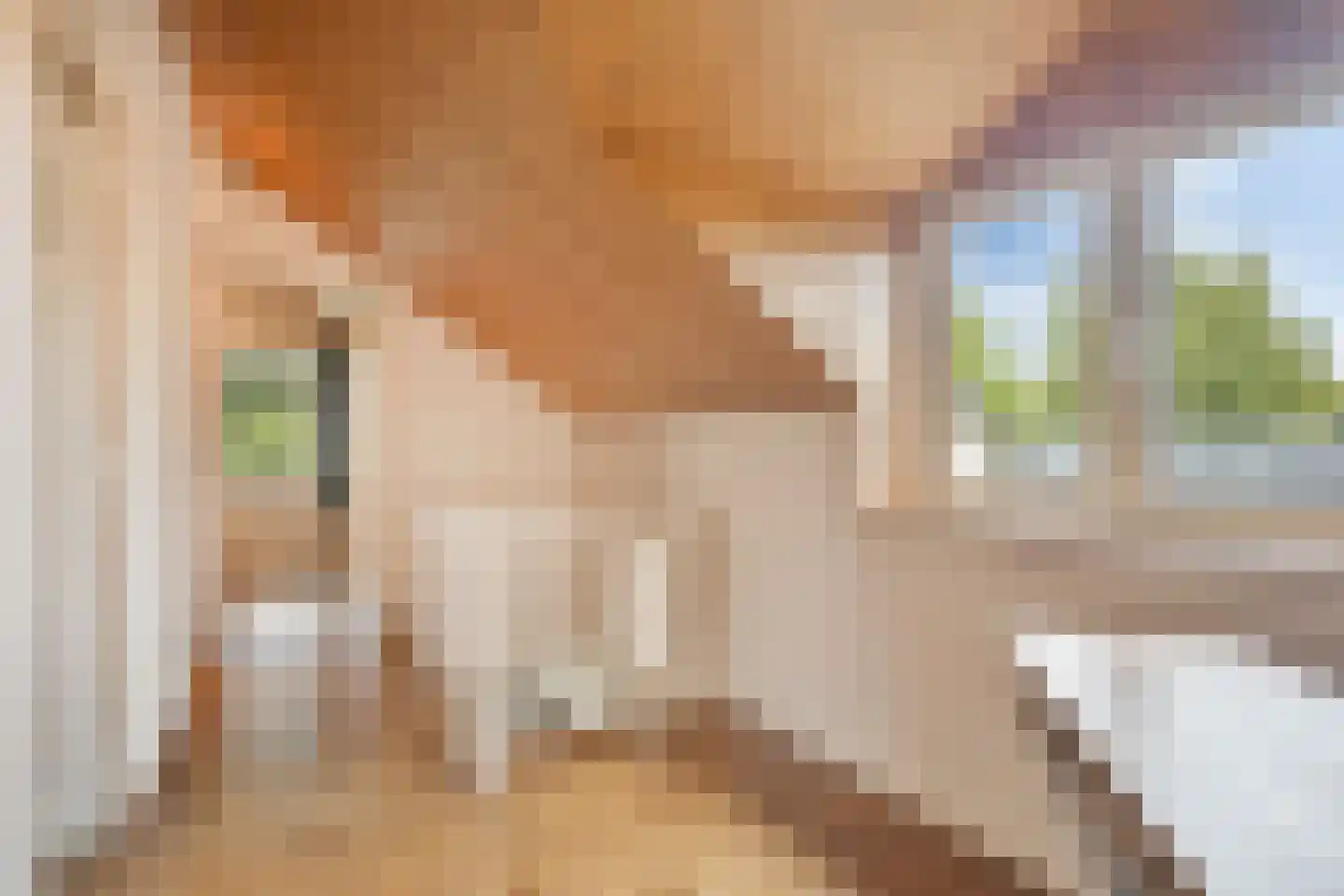 Hoogeindseweg 15 a Sambeek thumbnail 36