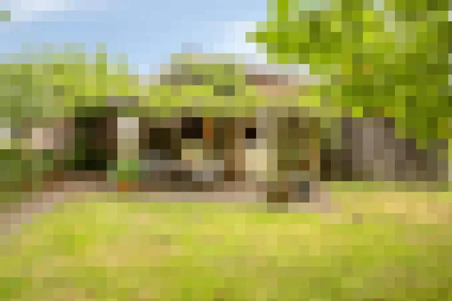 Hoogeindseweg 15 a Sambeek thumbnail 46