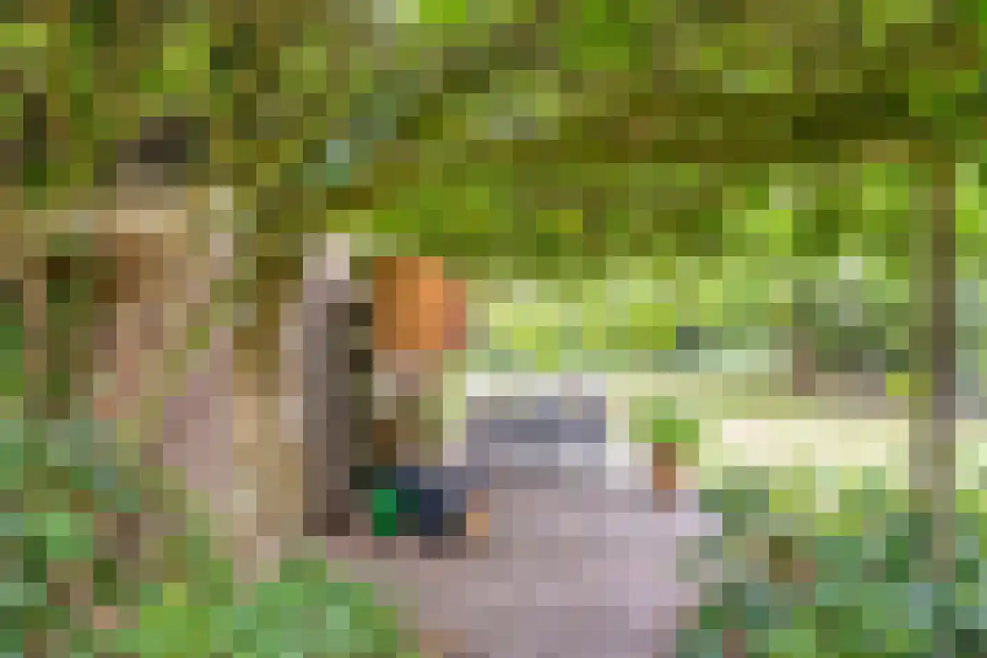 Hoogeindseweg 15 a Sambeek thumbnail 47