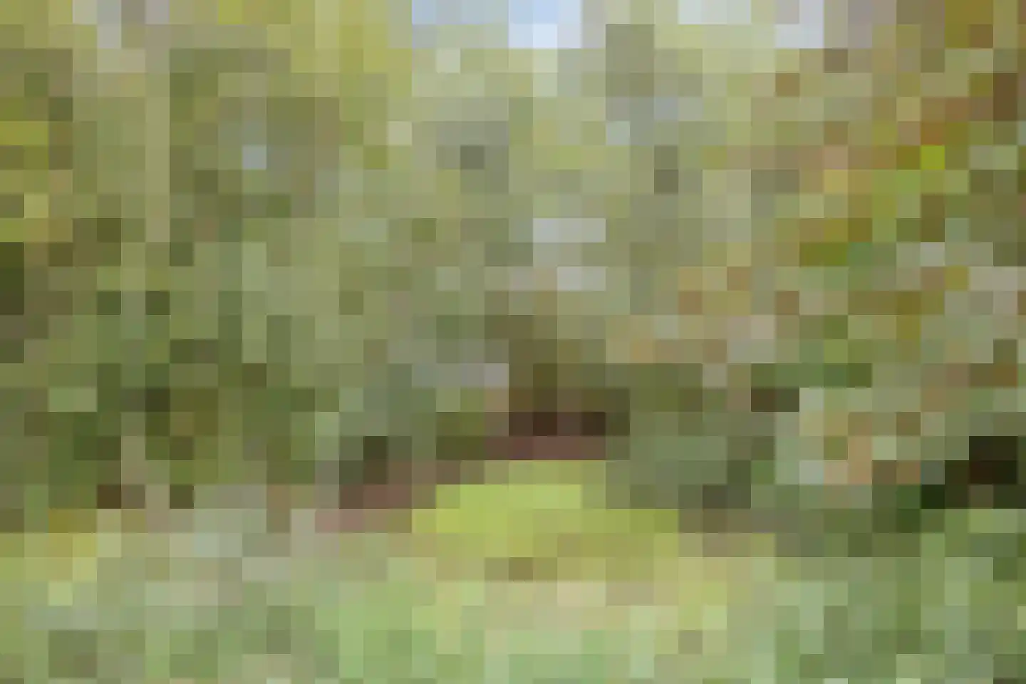 Hoogeindseweg 15 a Sambeek thumbnail 48