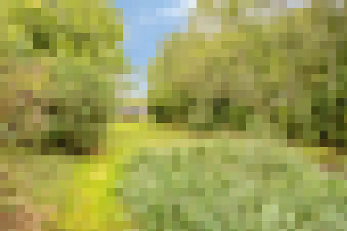 Hoogeindseweg 15 a Sambeek thumbnail 49