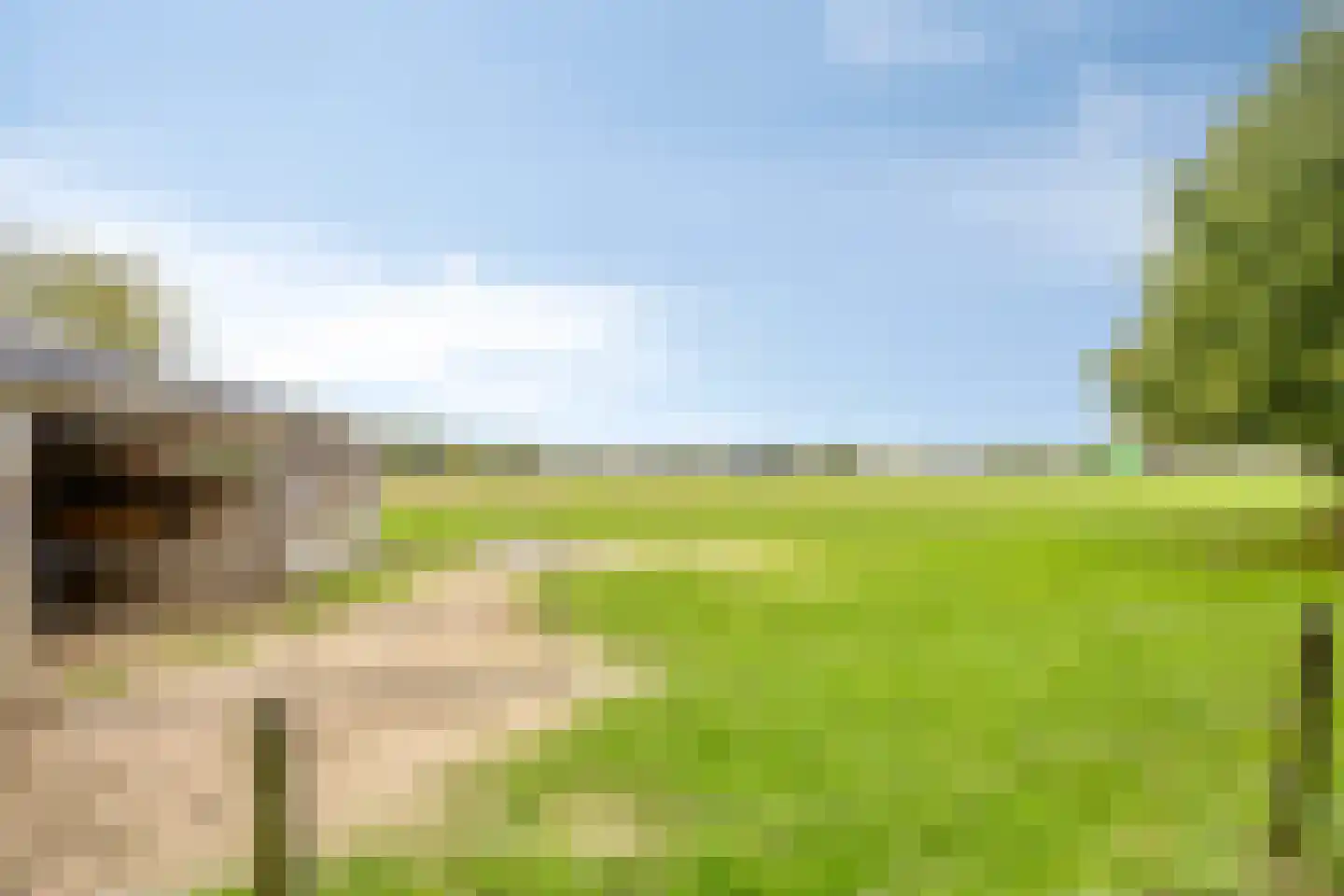 Hoogeindseweg 15 a Sambeek thumbnail 51