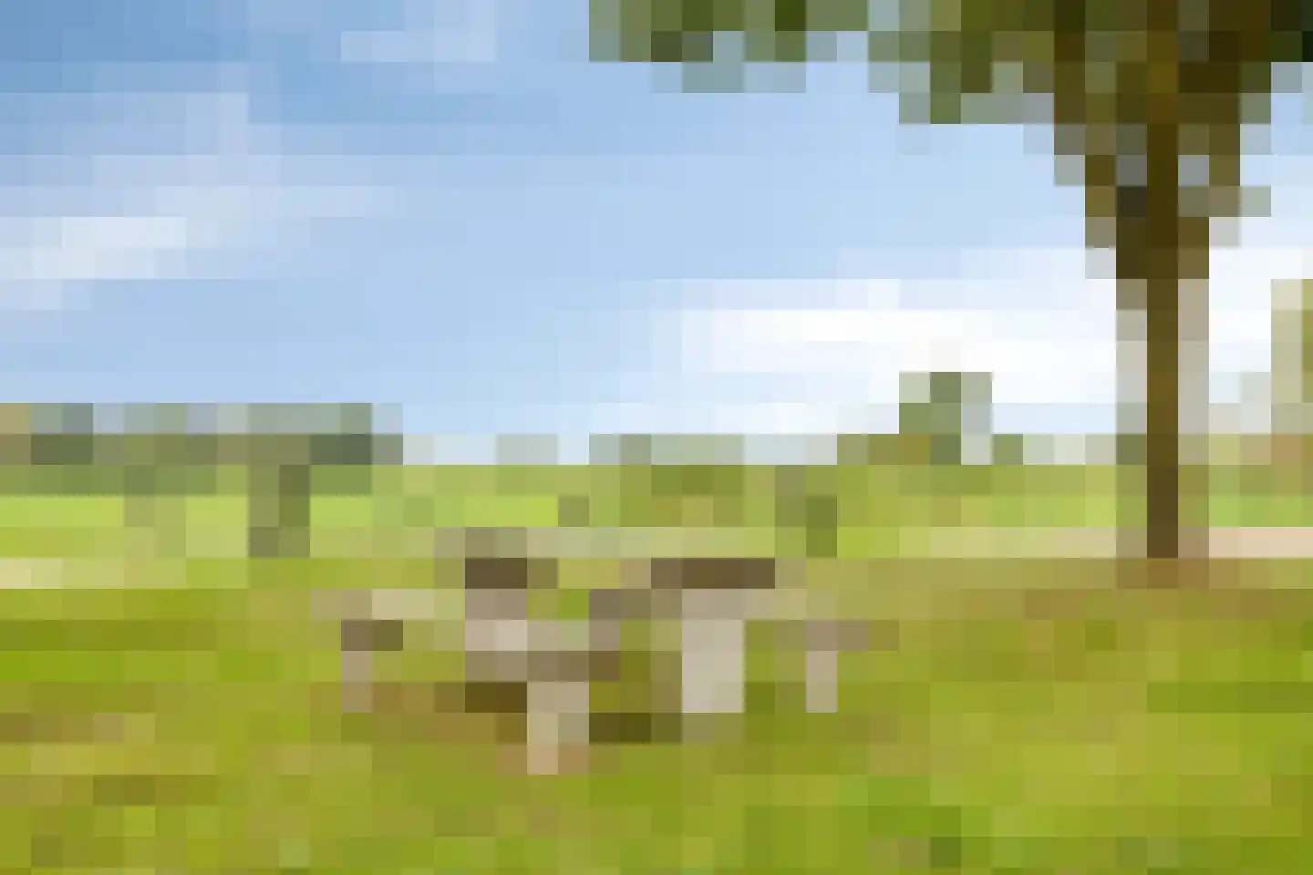 Hoogeindseweg 15 a Sambeek thumbnail 55
