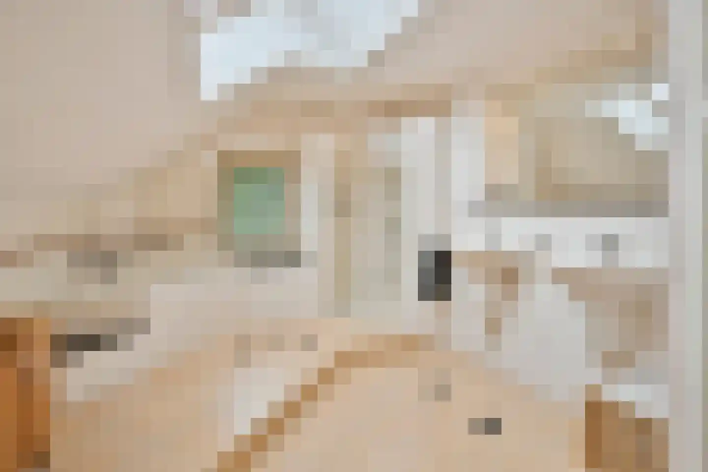 Hoogeindseweg 15 a Sambeek thumbnail 8