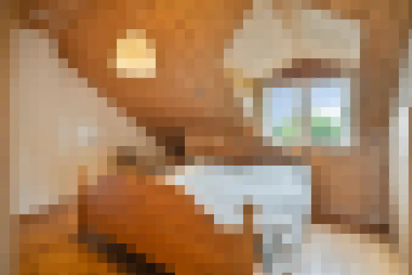 Hoogeindseweg 15 a Sambeek thumbnail 9