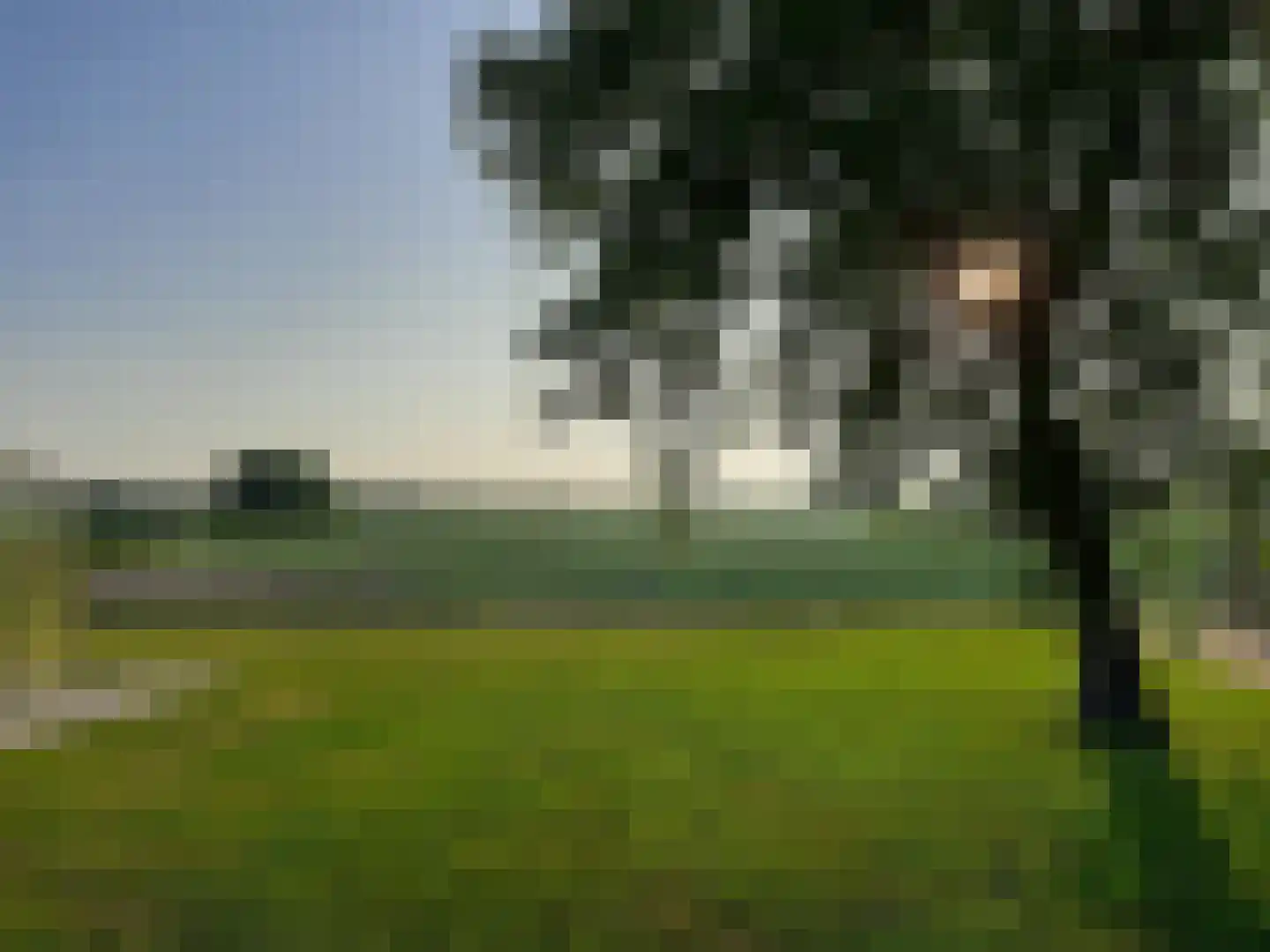 Hoogeindseweg 26 Oost West en Middelbeers thumbnail 51