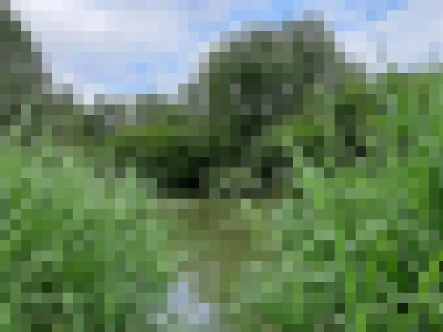 Hoogeindseweg 26 Oost West en Middelbeers thumbnail 61