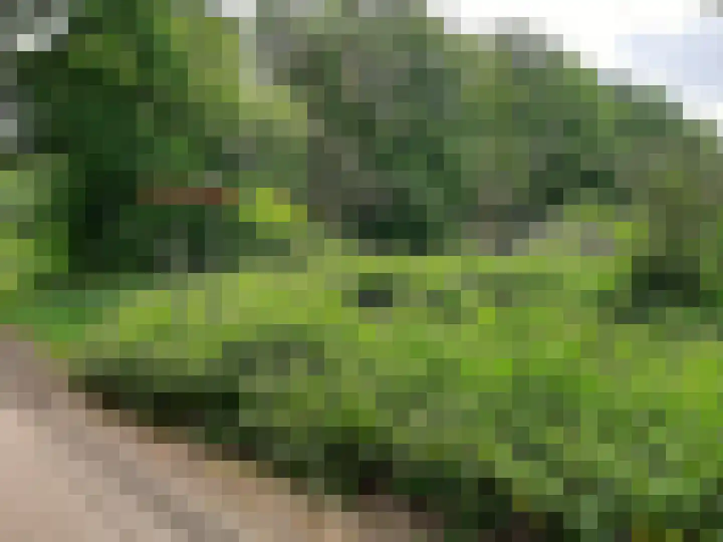 Hoogeindseweg 26 Oost West en Middelbeers thumbnail 70