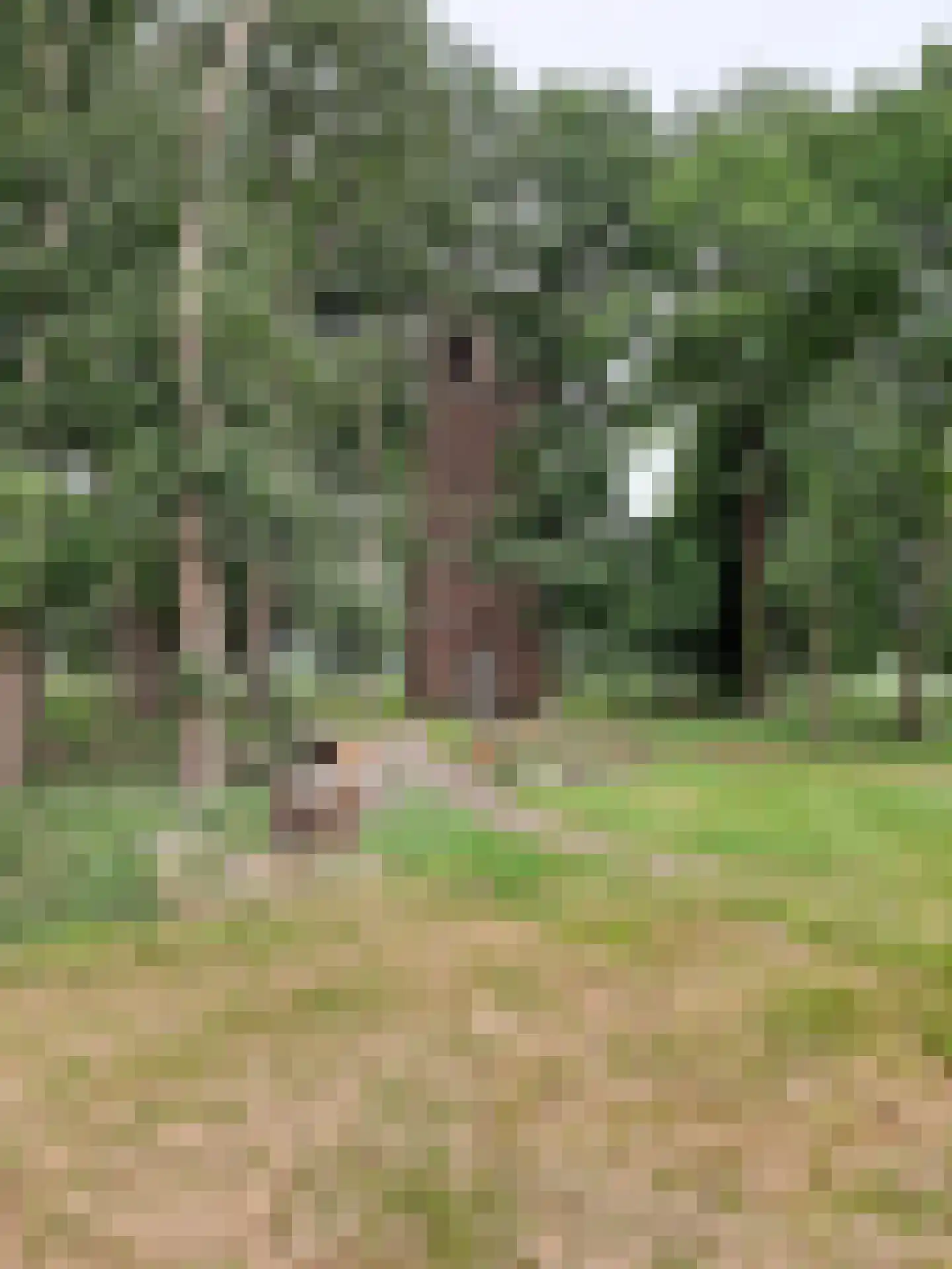 Hoogeindseweg 26 Oost West en Middelbeers thumbnail 72