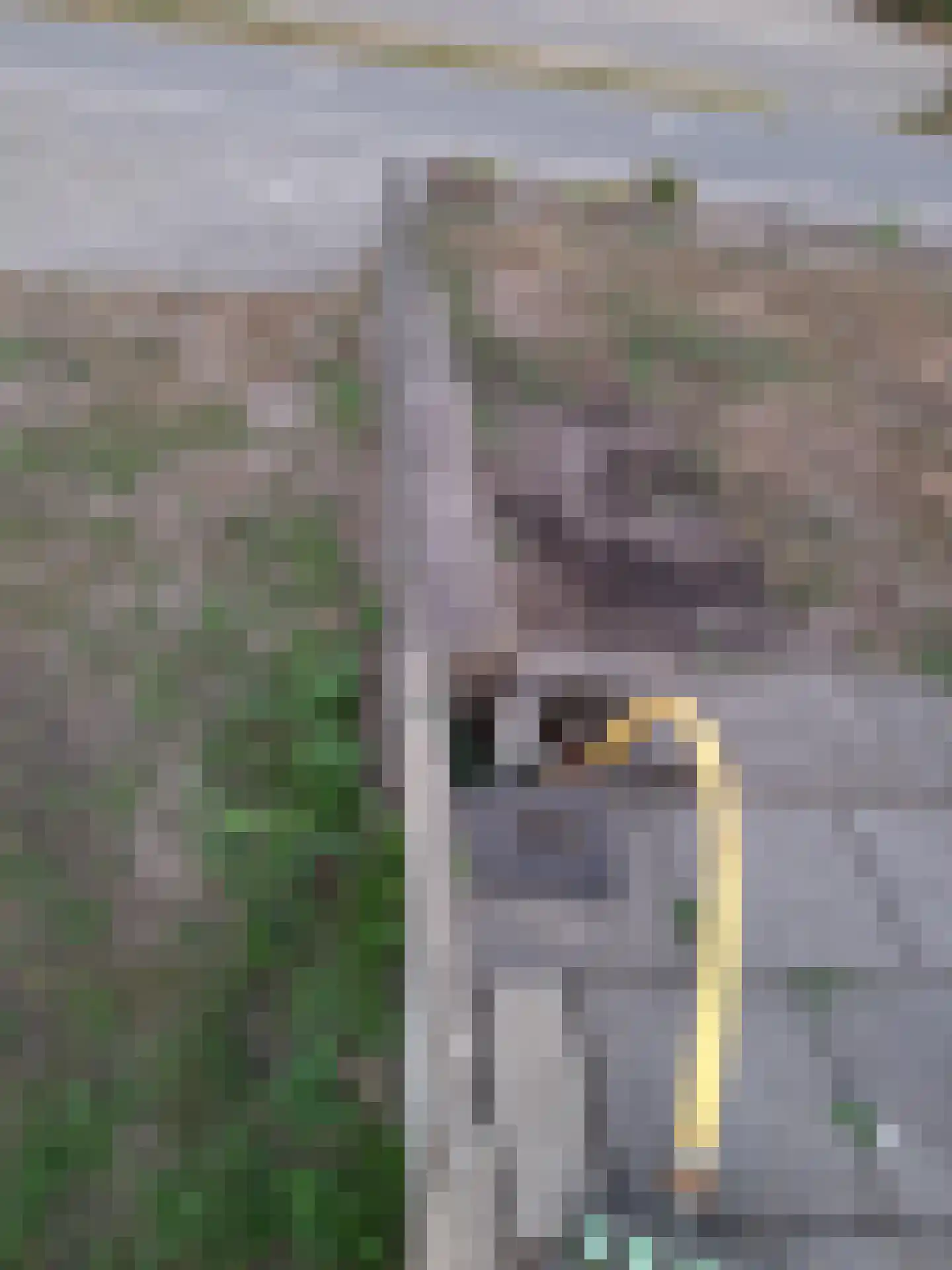 Hoogeindseweg 26 Oost West en Middelbeers thumbnail 76