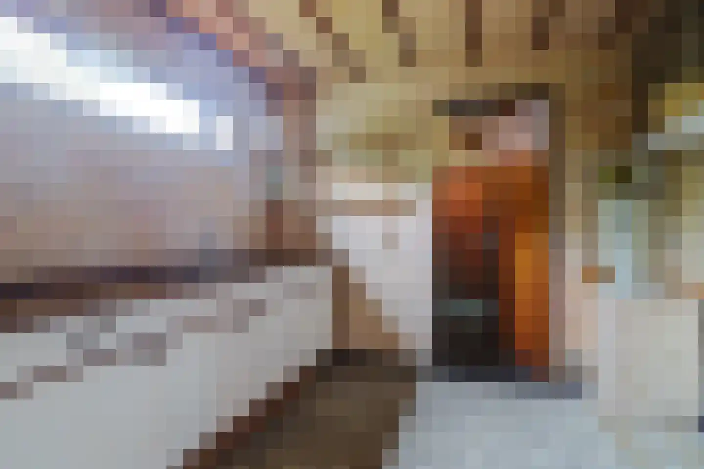 Hoogeindseweg 36 Goirle thumbnail 18
