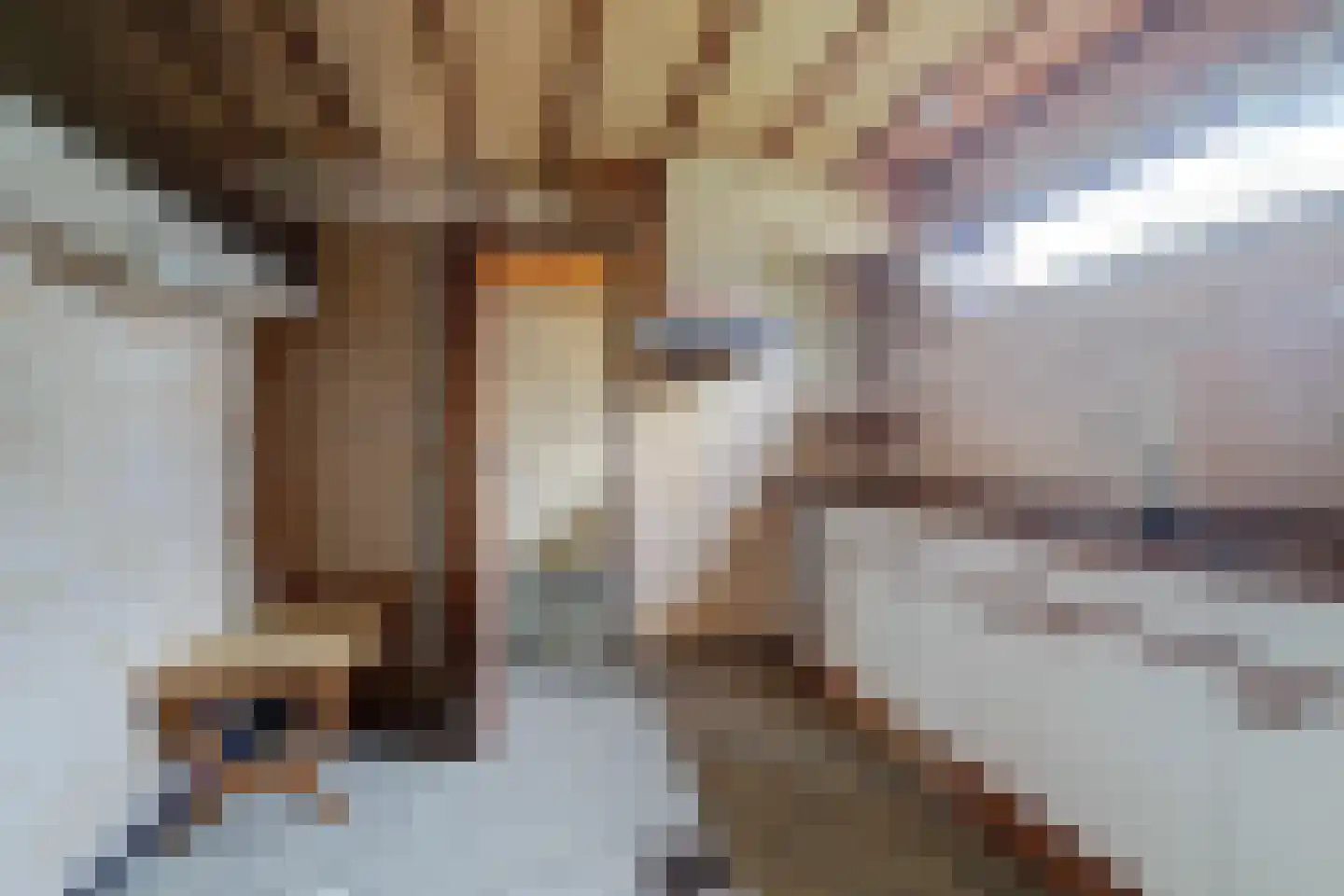 Hoogeindseweg 36 Goirle thumbnail 19
