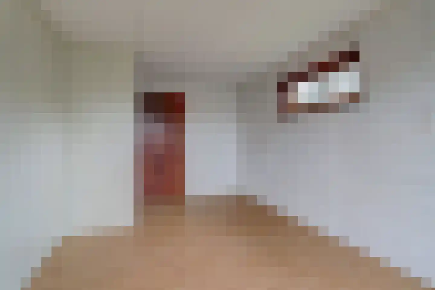 Hoogeindseweg 36 Goirle thumbnail 24