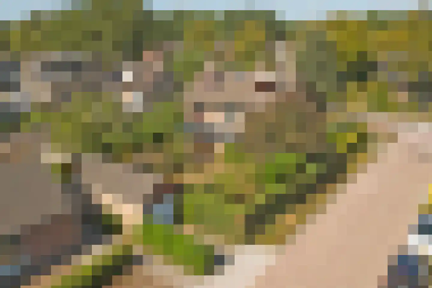 Hoogeindseweg 36 Goirle thumbnail 4
