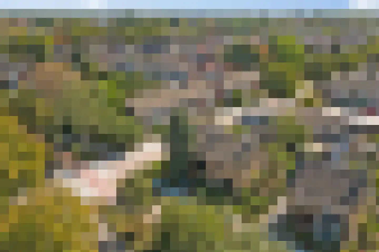 Hoogeindseweg 36 Goirle thumbnail 47