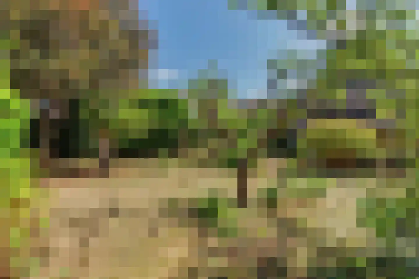 Hoogeindseweg 36 Goirle thumbnail 7