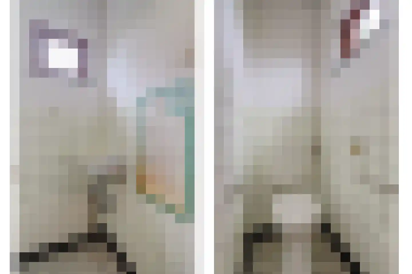 Hoogeindseweg 36 Goirle thumbnail 9