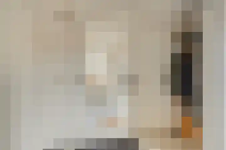 Hoogeindseweg 50 Goirle thumbnail 11