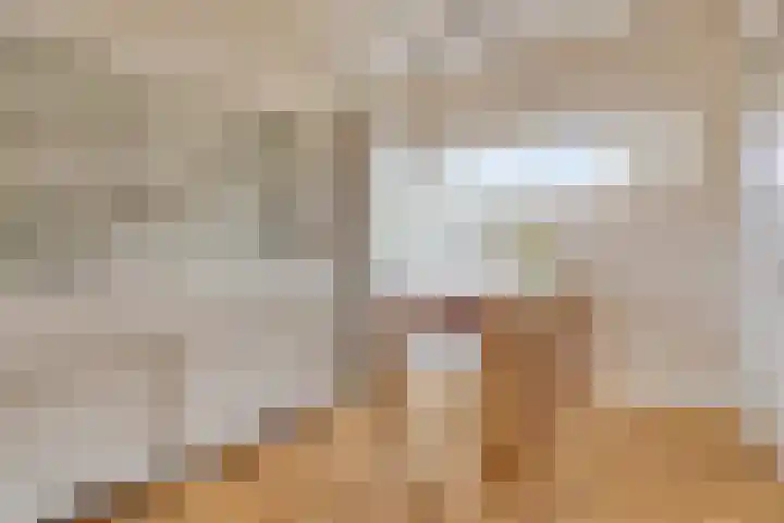 Hoogeindseweg 50 Goirle thumbnail 14