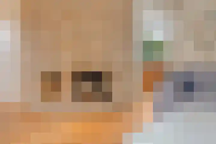 Hoogeindseweg 50 Goirle thumbnail 17
