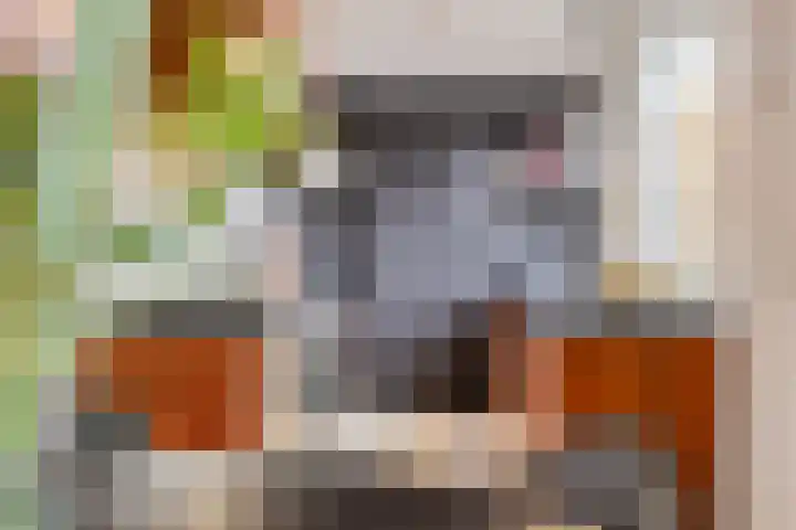 Hoogeindseweg 50 Goirle thumbnail 23