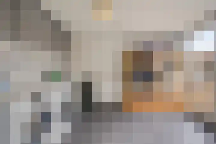 Hoogeindseweg 50 Goirle thumbnail 29