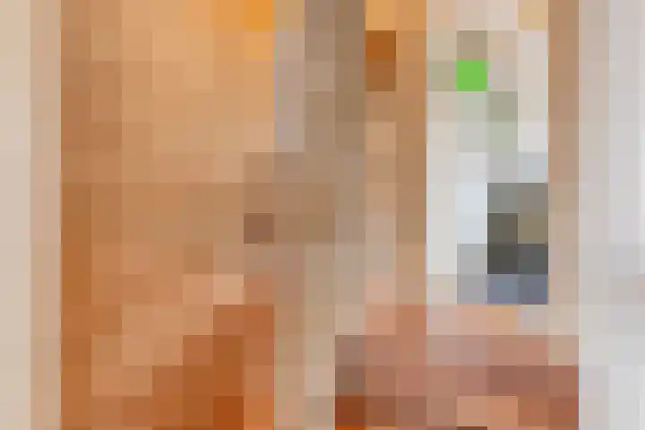 Hoogeindseweg 50 Goirle thumbnail 31