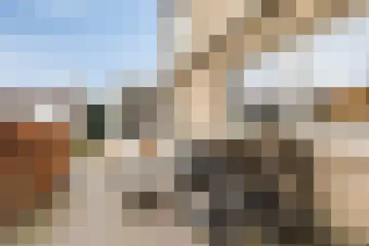 Hoogeindseweg 50 Goirle thumbnail 44