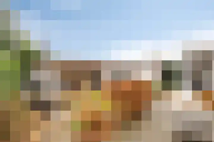 Hoogeindseweg 50 Goirle thumbnail 45