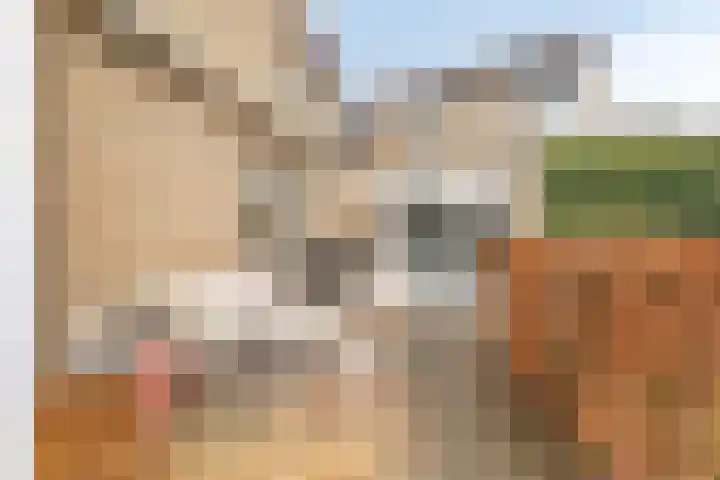 Hoogeindseweg 50 Goirle thumbnail 46