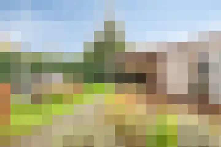 Hoogeindseweg 50 Goirle thumbnail 47