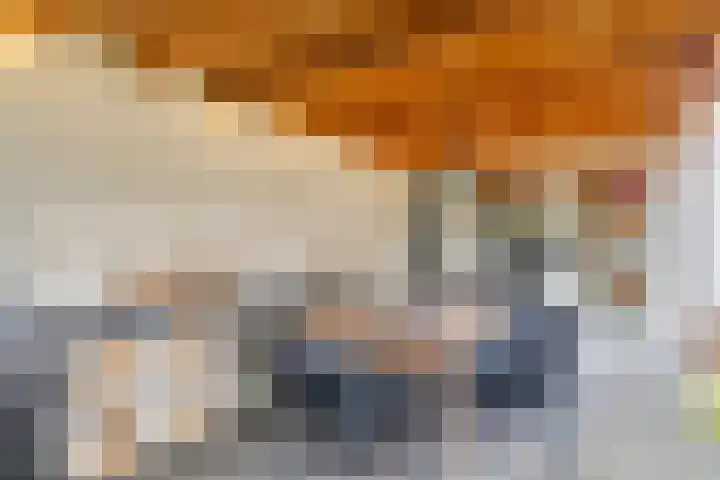 Hoogeindseweg 50 Goirle thumbnail 49