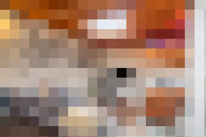 Hoogeindseweg 50 Goirle thumbnail 50