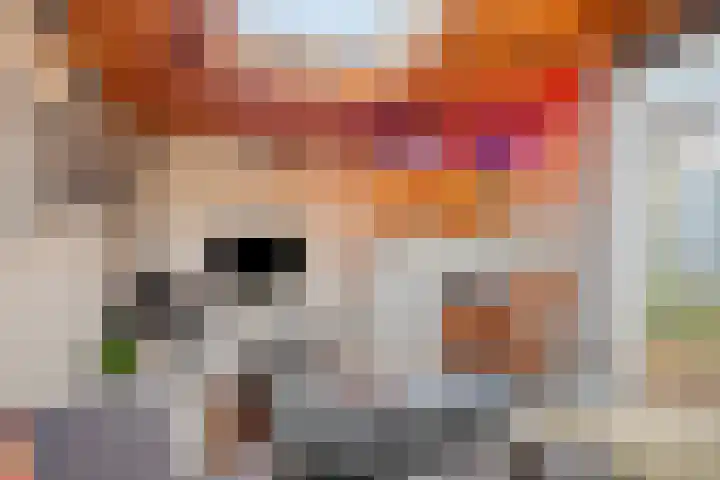 Hoogeindseweg 50 Goirle thumbnail 51