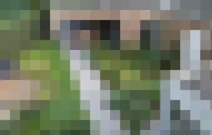 Hoogeindseweg 50 Goirle thumbnail 54