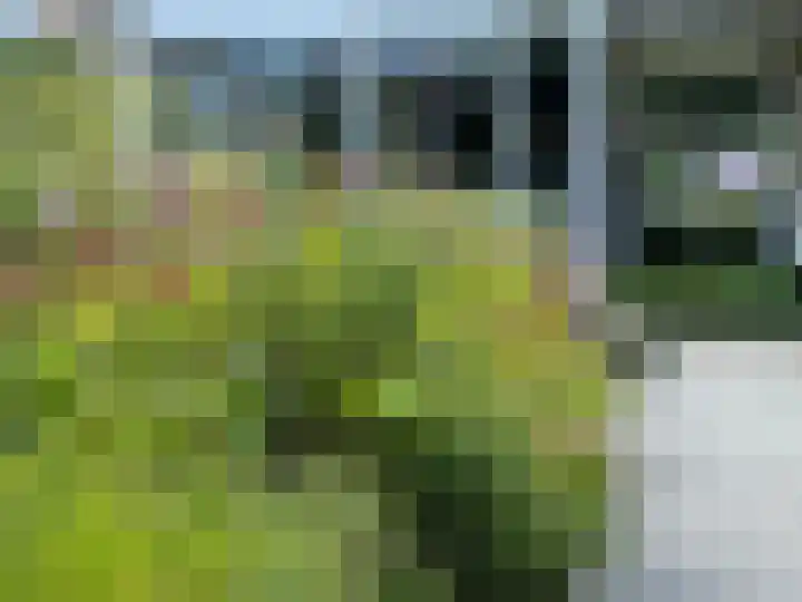 Hoogeindseweg 50 Goirle thumbnail 56