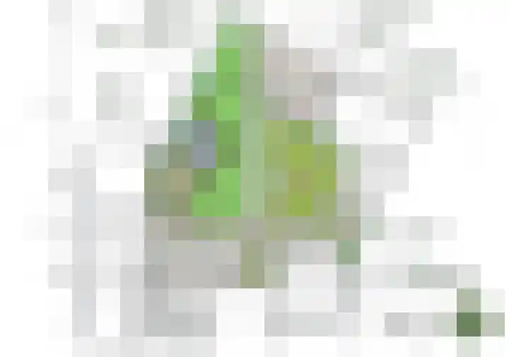 Hoogeindseweg 50 Goirle thumbnail 58