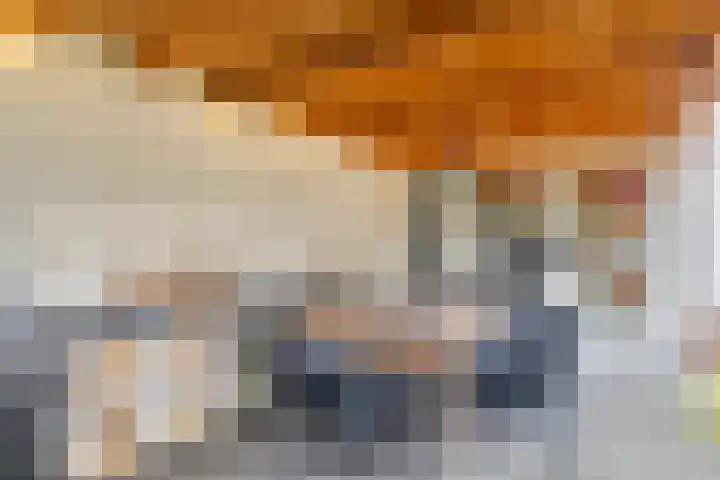 Hoogeindseweg 50 Goirle thumbnail 7